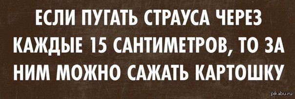 Каждый сантиметр каждый край души и тела. Если пугать страуса каждые 15 сантиметров. Не пугайте страуса. Не пугайте страусов пол бетонный. Хватит пугать страуса.