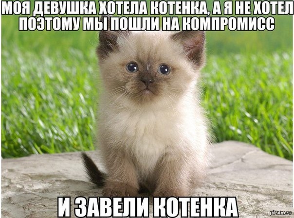 компромис | Пикабу