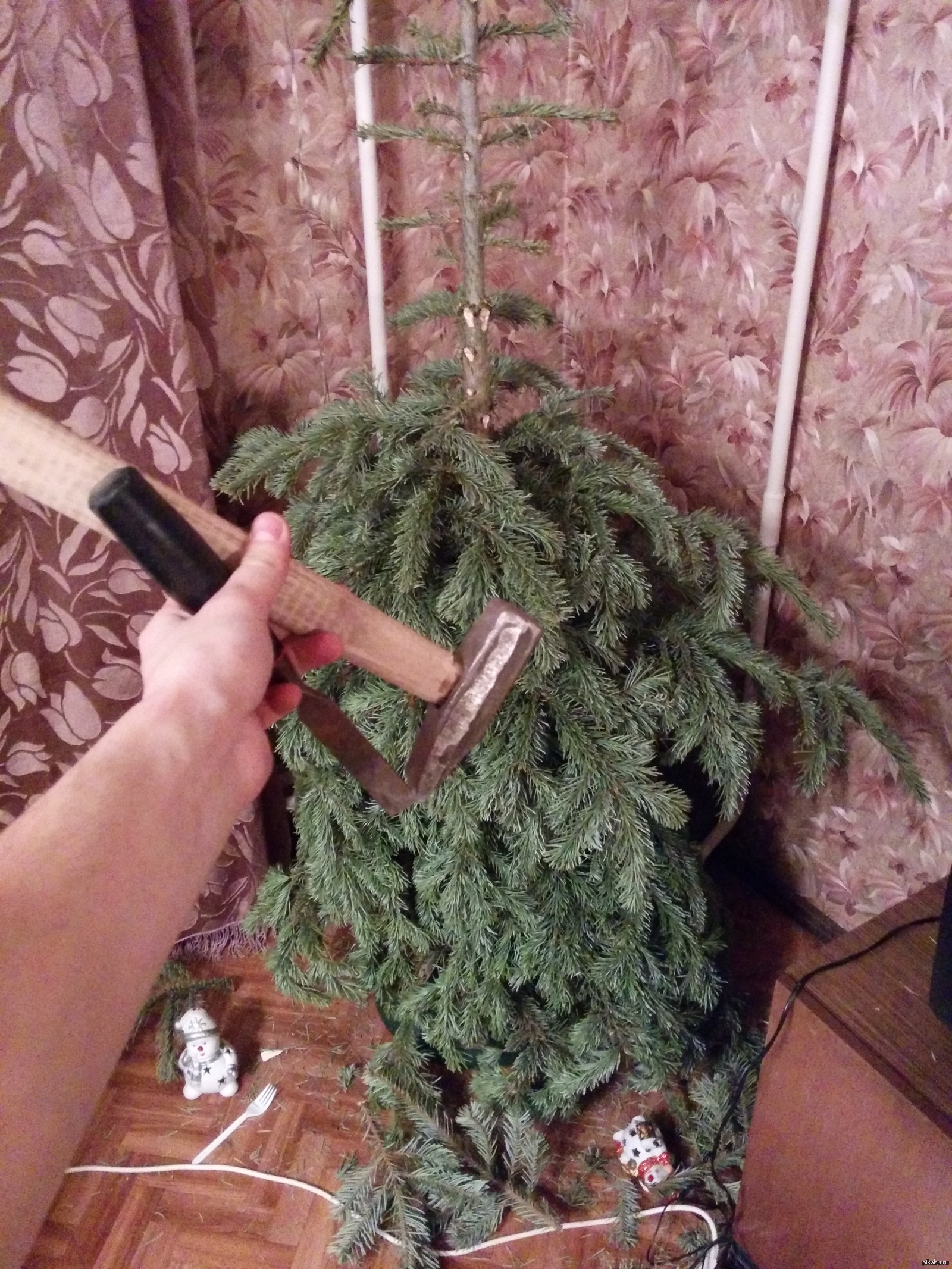 ����� ���� ��� ���������� ������