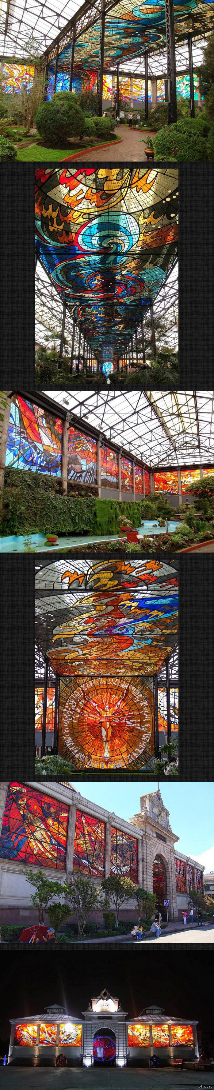 Ботанический сад в городе Толука-де-Лердо в Мексике