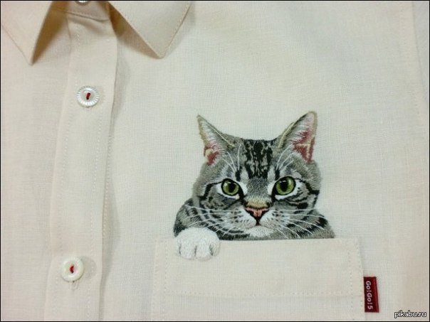 �����-��� :)