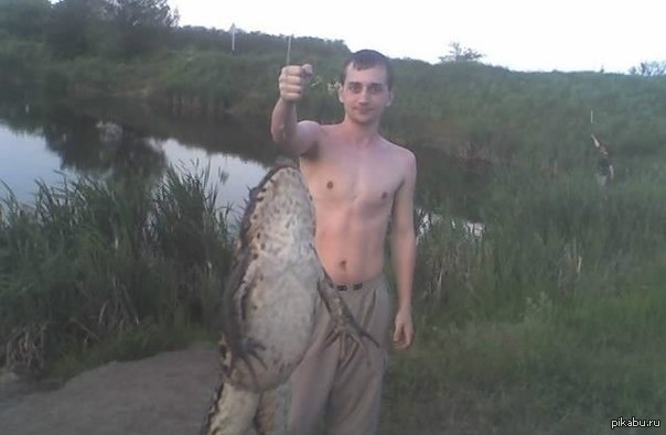 ������ ������