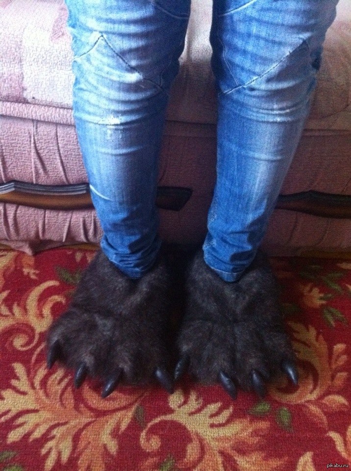 ������� ������ ���� �������:D