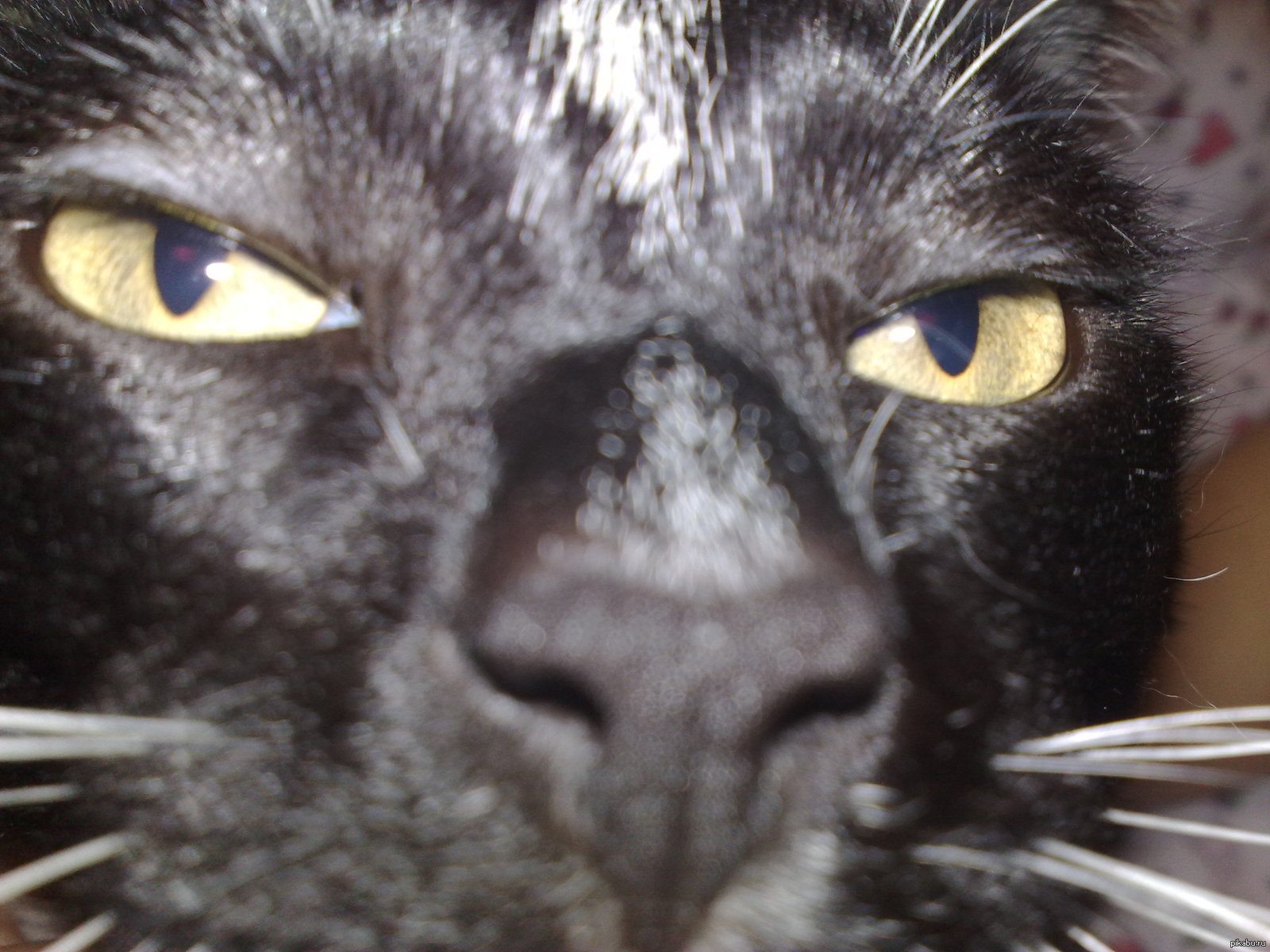 Удачное фото