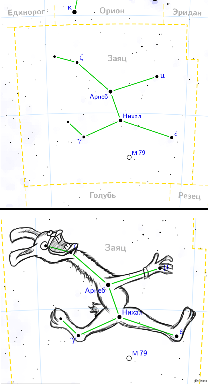 Теперь я понял, почему созвездие зайца так назвали | Пикабу