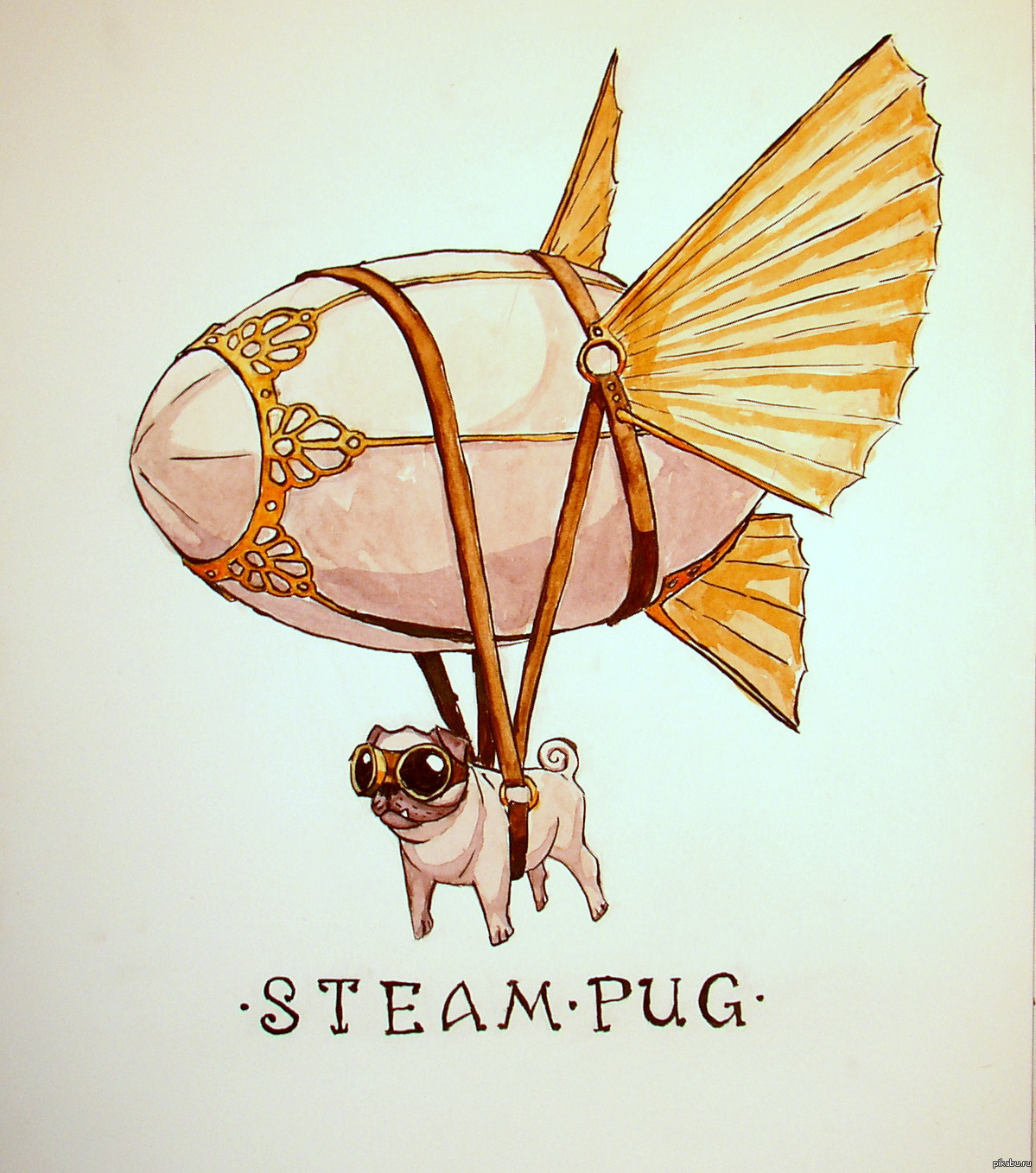 Steam Pug