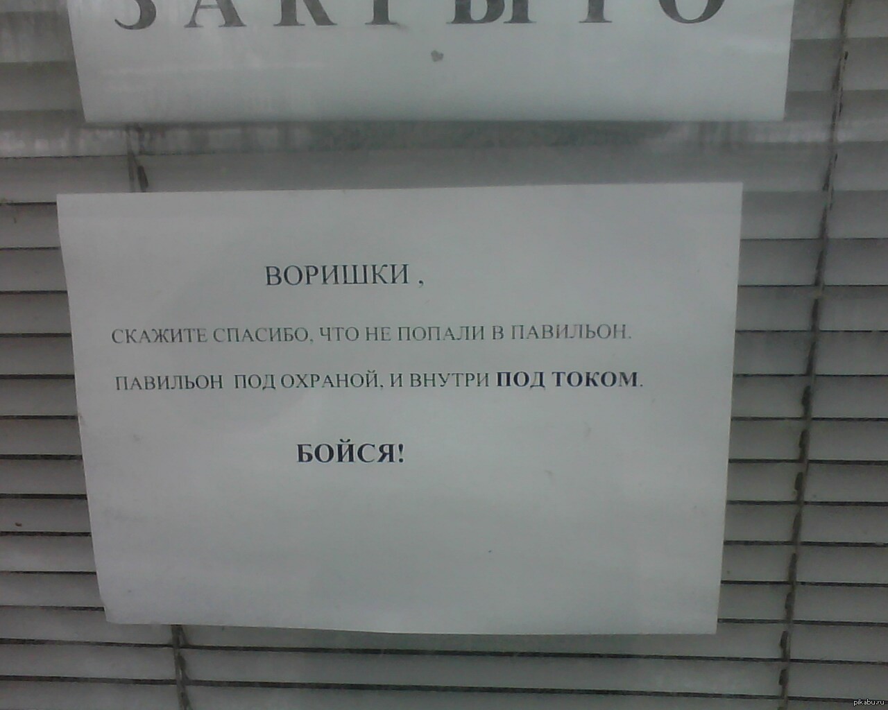 Какое объявление. Объявление про воровство в магазине. Объявление для воров в магазине. Объявление в магазине. Объявления в магазинах для покупателей образец.