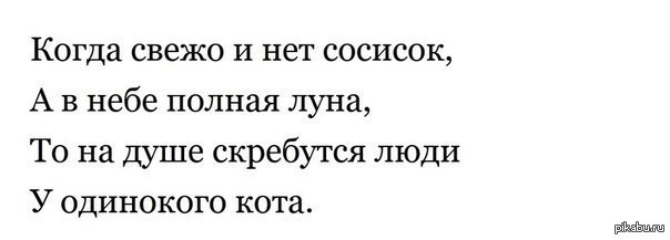 одинокий кот с тортом. 1391572903 2056825844. одинокий кот с тортом фото. одинокий кот с тортом-1391572903 2056825844. картинка одинокий кот с тортом. картинка 1391572903 2056825844. Одинокий мужчина и его одинокая кошка… Утром, встав, потянувшись, как в принципе было всегда… А потом эти двое сидели, смеясь, у окошка… Не смогли поделить круасан на двоих, вот беда…