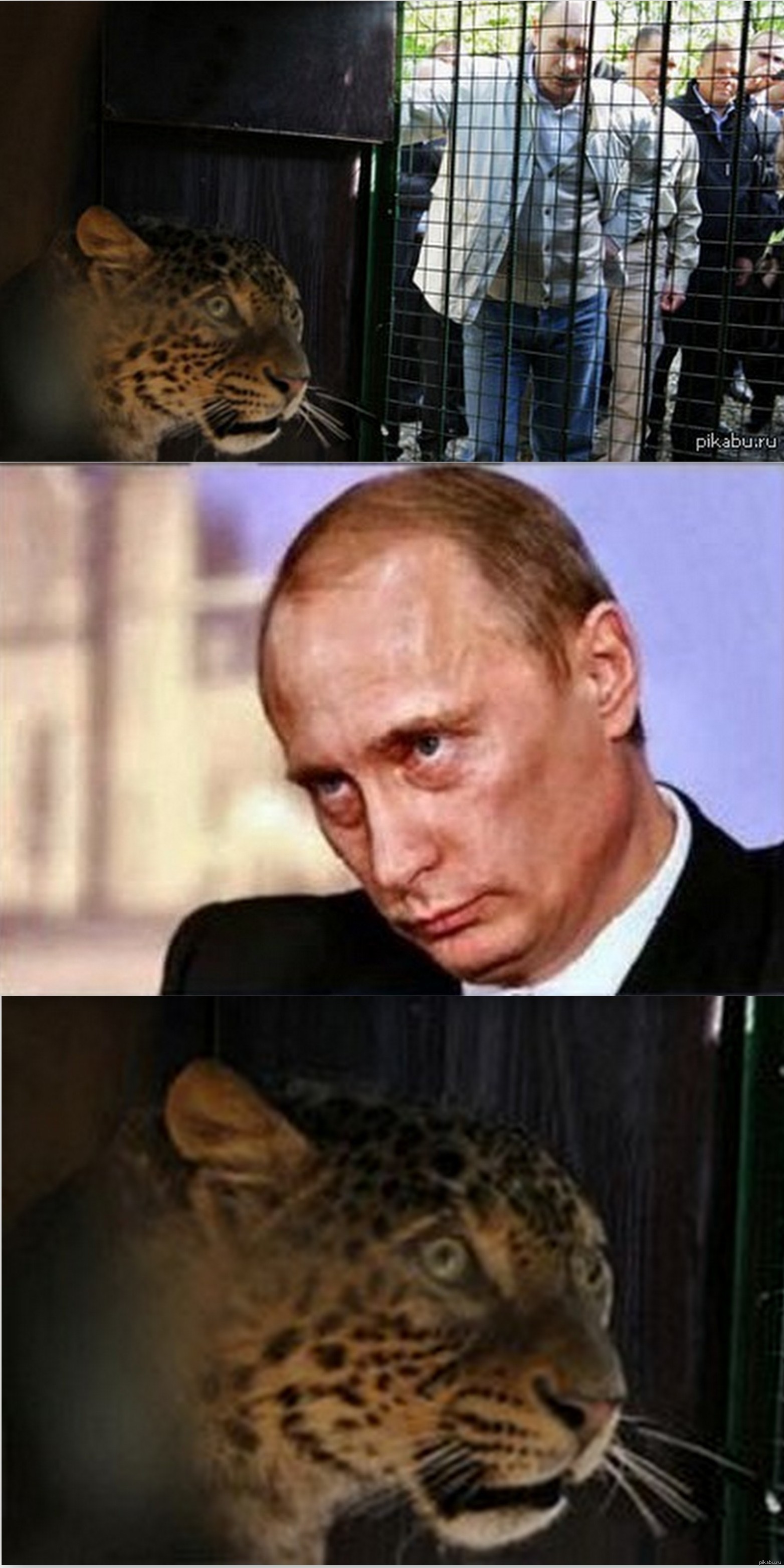 ����� � ���������