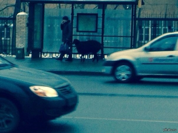 ������ �� ��������, ������ ����� � ������� ����� �� ���������.