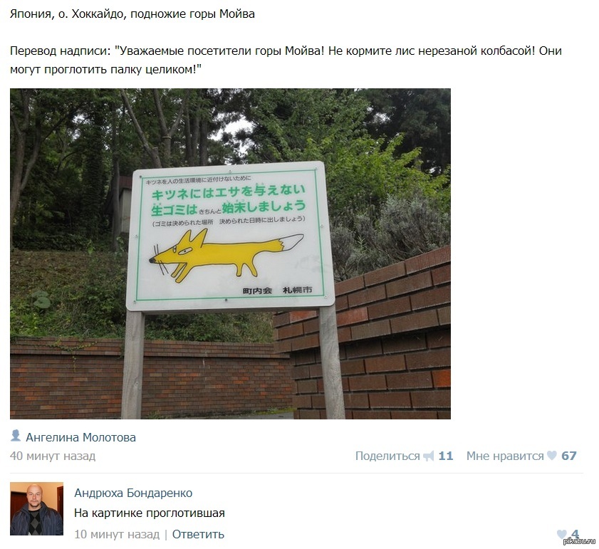 Осторожнее кормите лис!