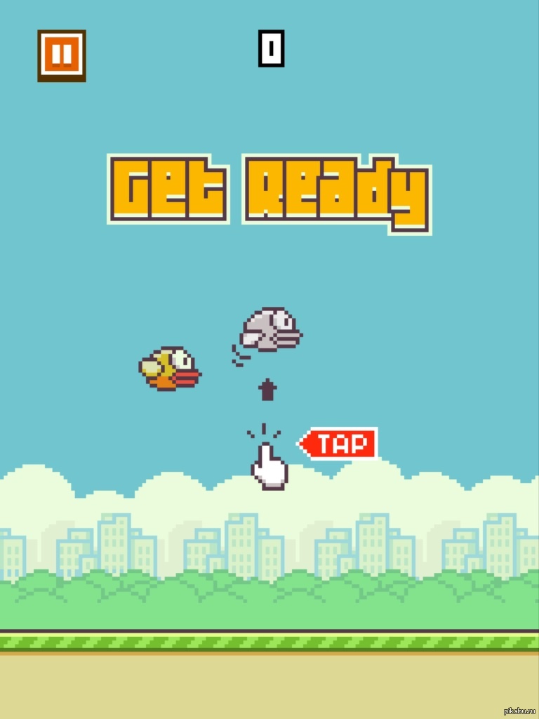 Flappy Birds: истории из жизни, советы, новости, юмор и картинки — Все  посты, страница 50 | Пикабу