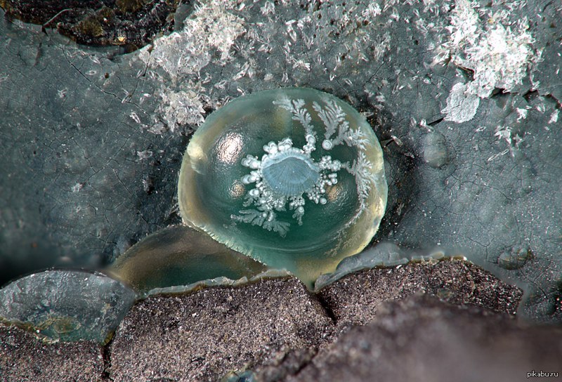 ������� �������