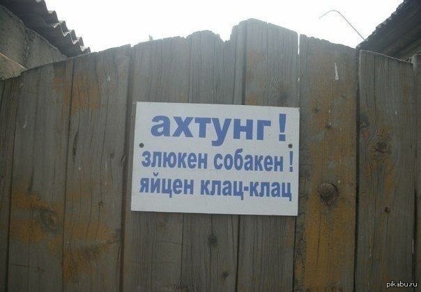 Злая Собака)