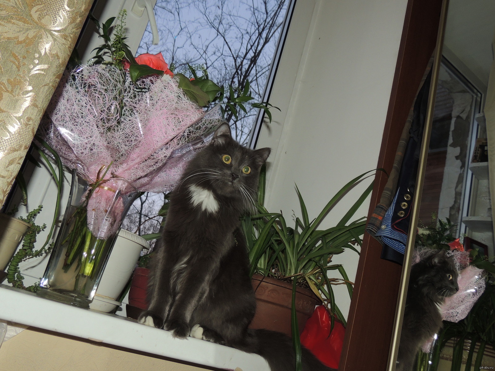 ��� ��� ����� ������������.