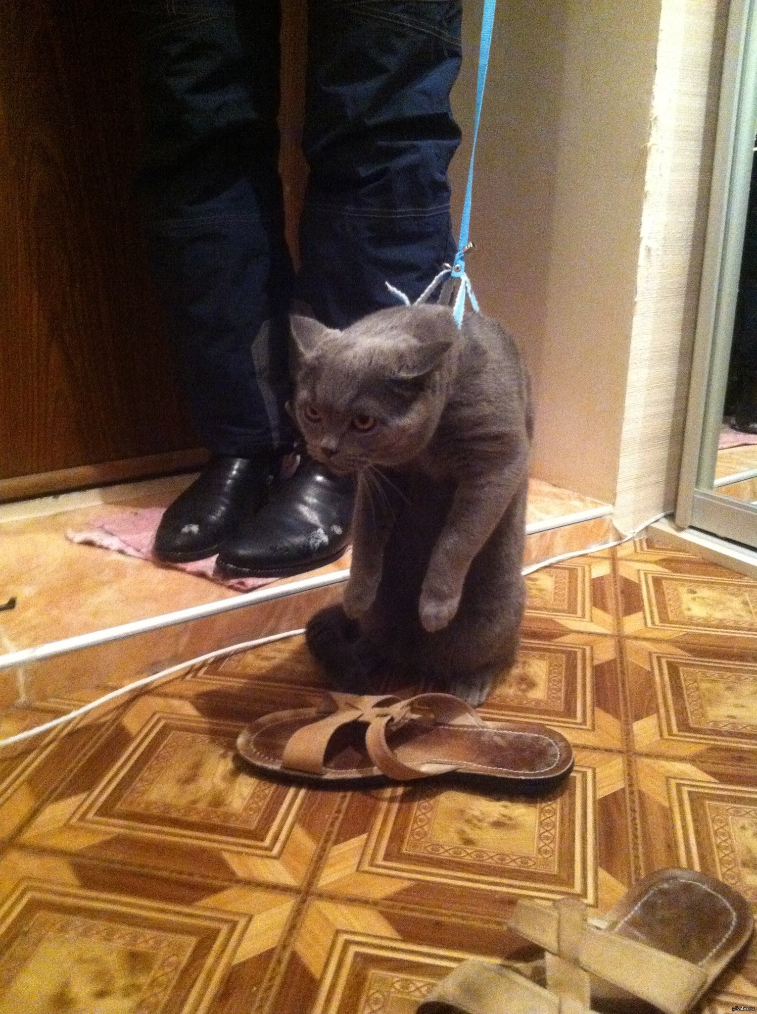 ����� �������� �������� � ����� , �� ����� -15