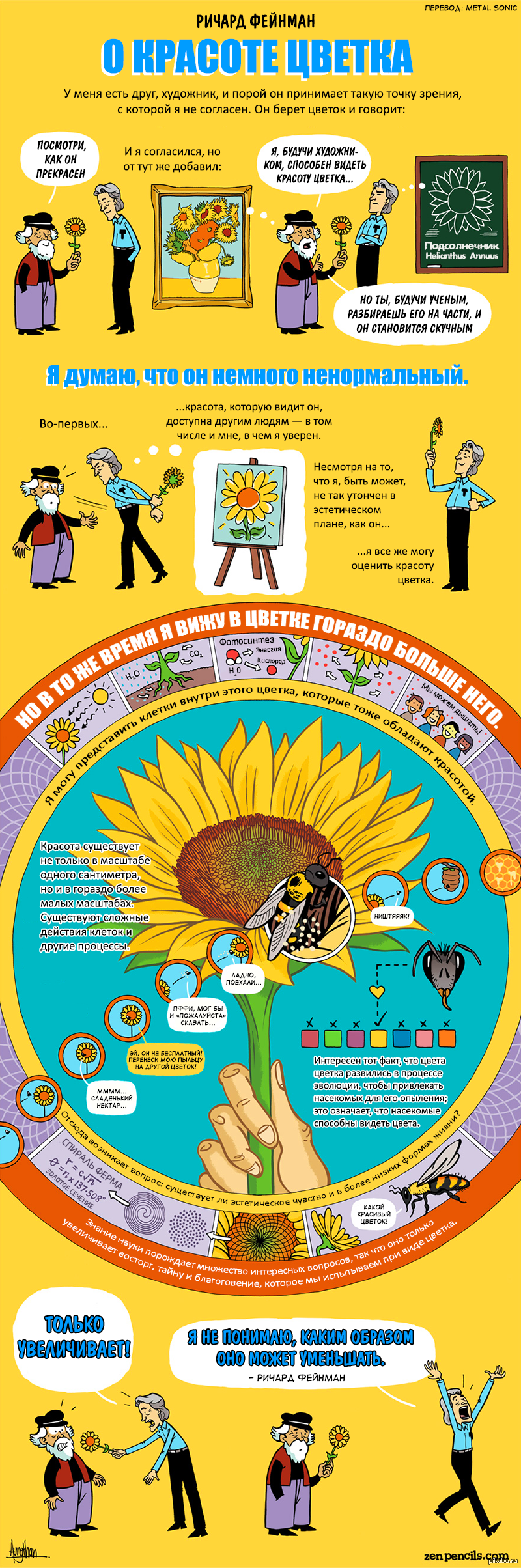 О красоте цветка