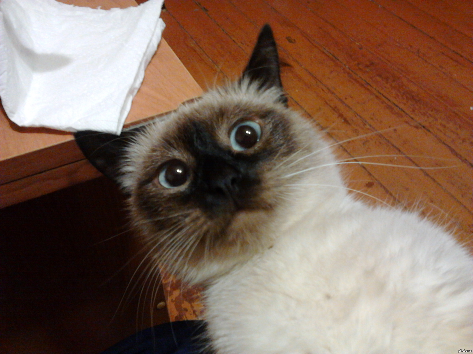 Удачный кадр