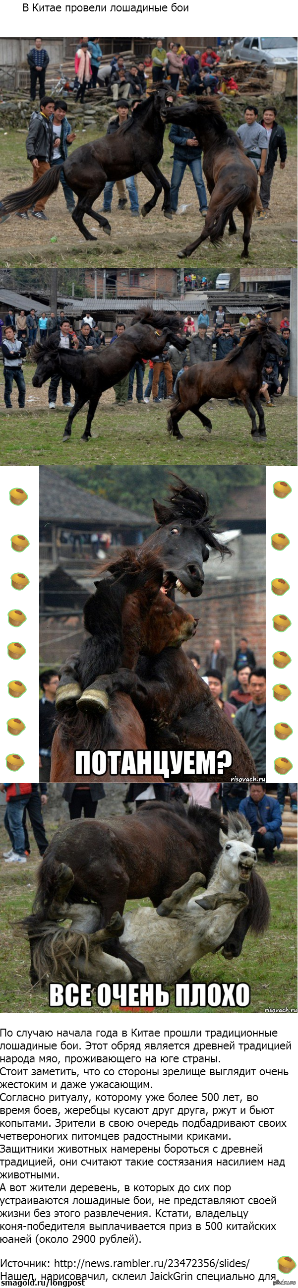     : http://news.rambler.ru/23472356/slides/