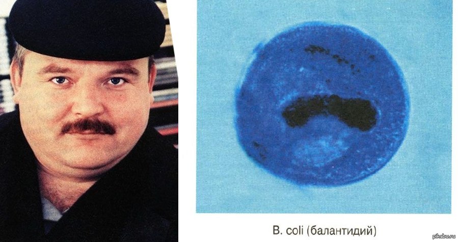  , Balantidium coli-  .