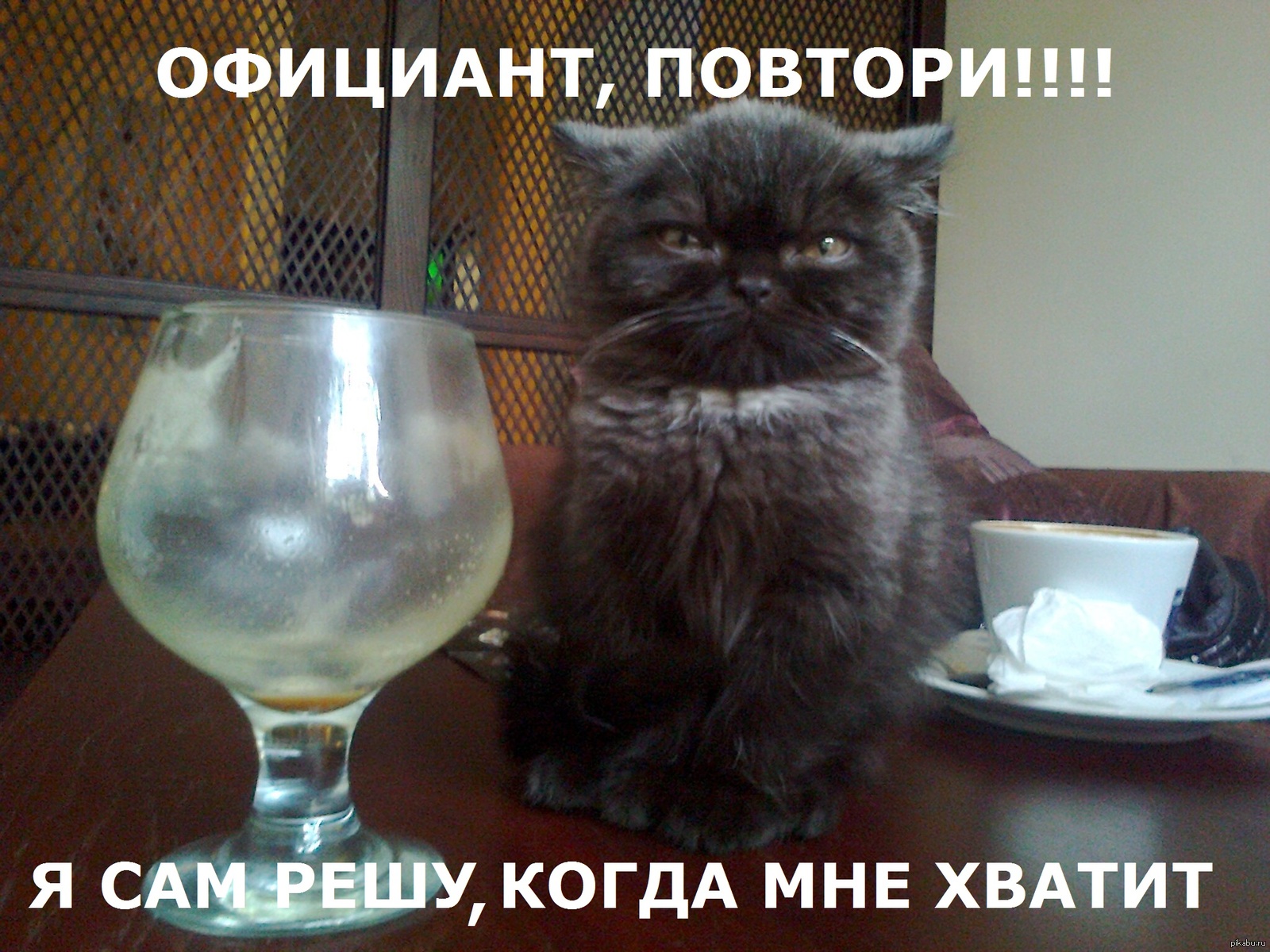 ������� ���� ���...... - ����� ���������