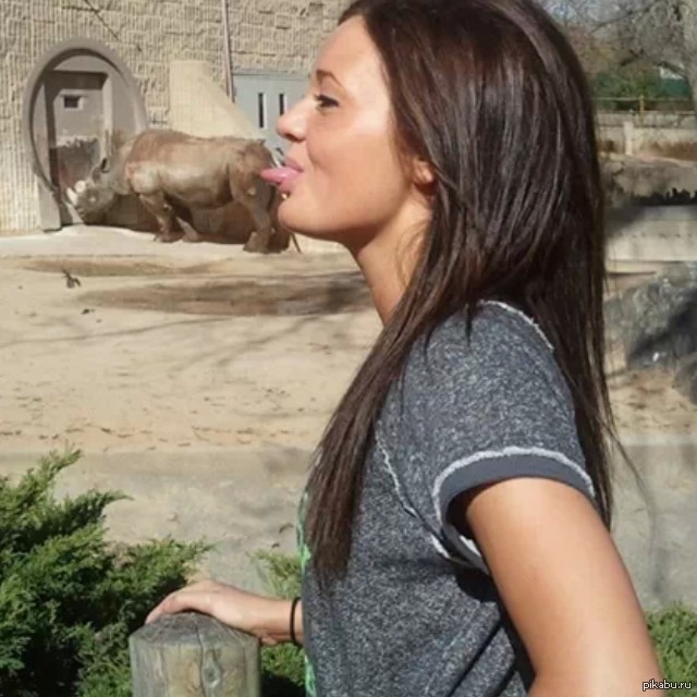 Почему бы и нет?