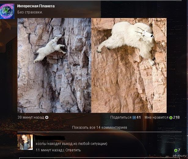 �������������...