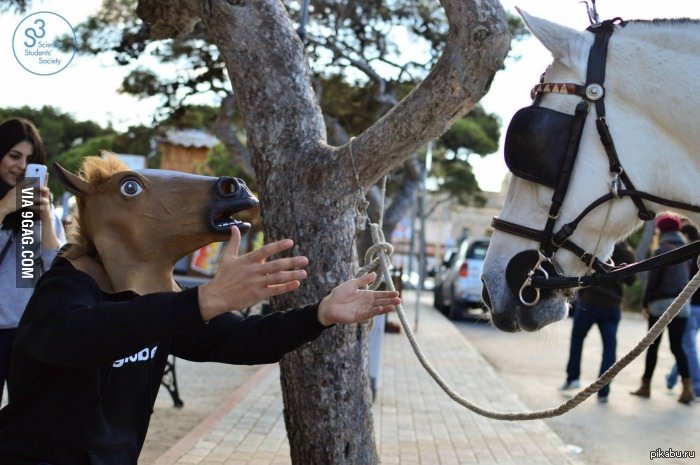 "� ���� ����"