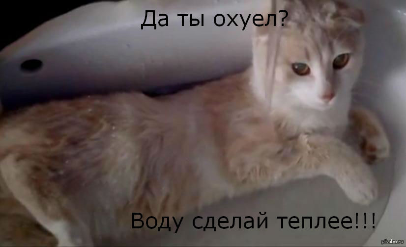 И снова про Лёню.
