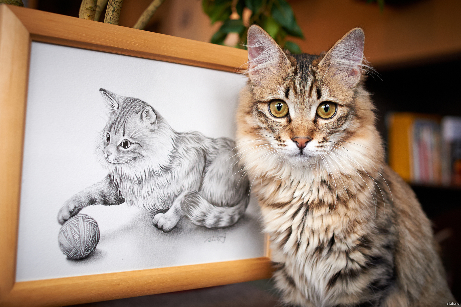Picture me cats. Творчество котики. Кошки в живописи. Картины с кошками. Творческие коты.