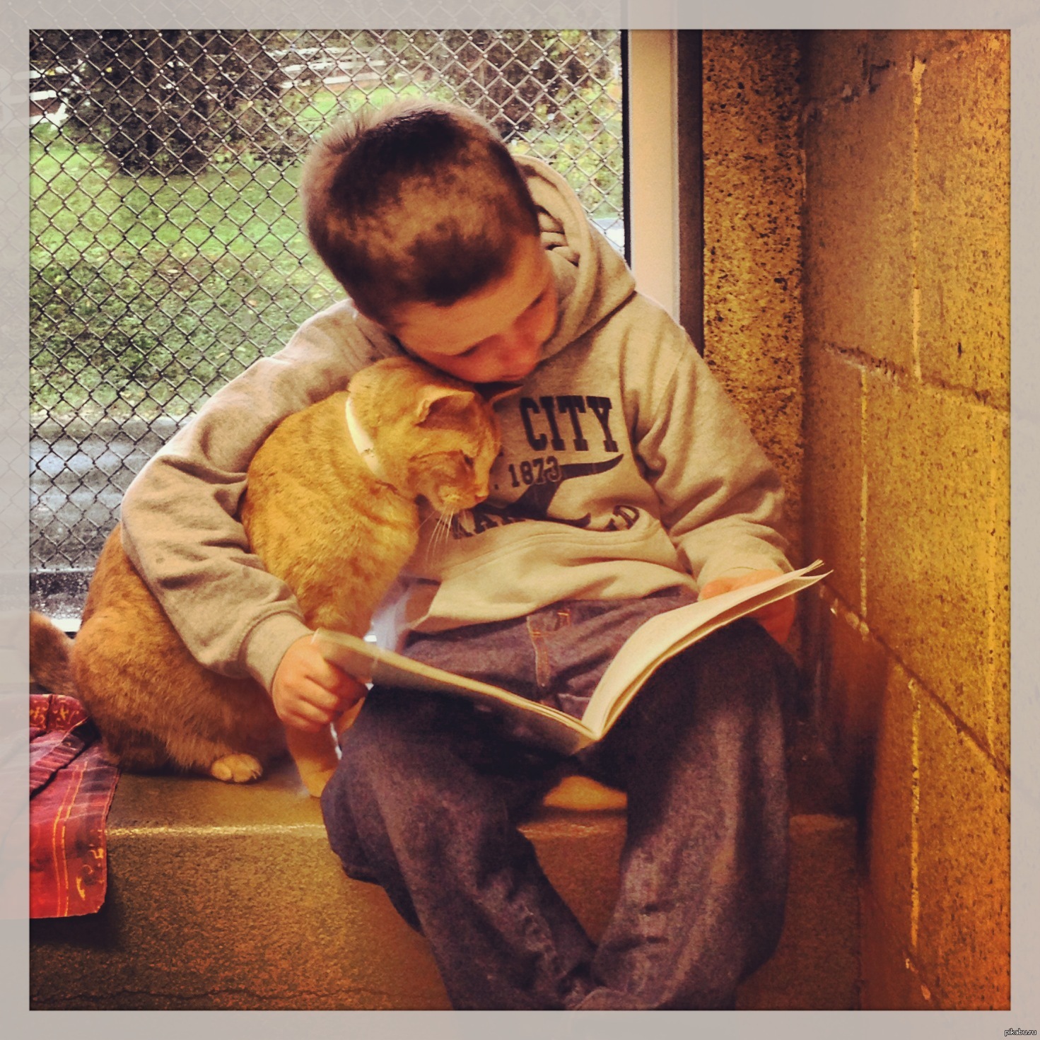 Книга про мальчика и кота