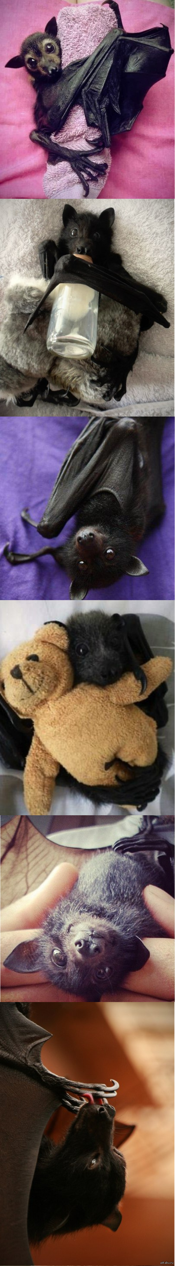 ������ ������ �� ������ ������!