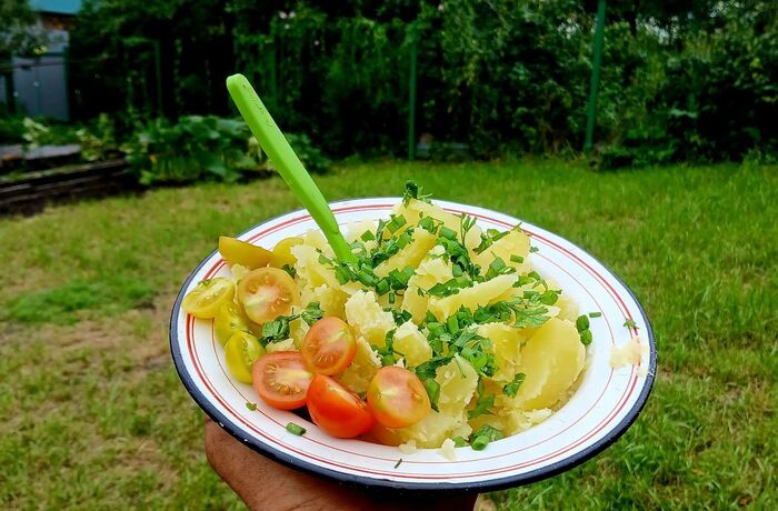 Вкусняшки с огорода
