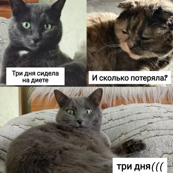 Это были три грустных дня
