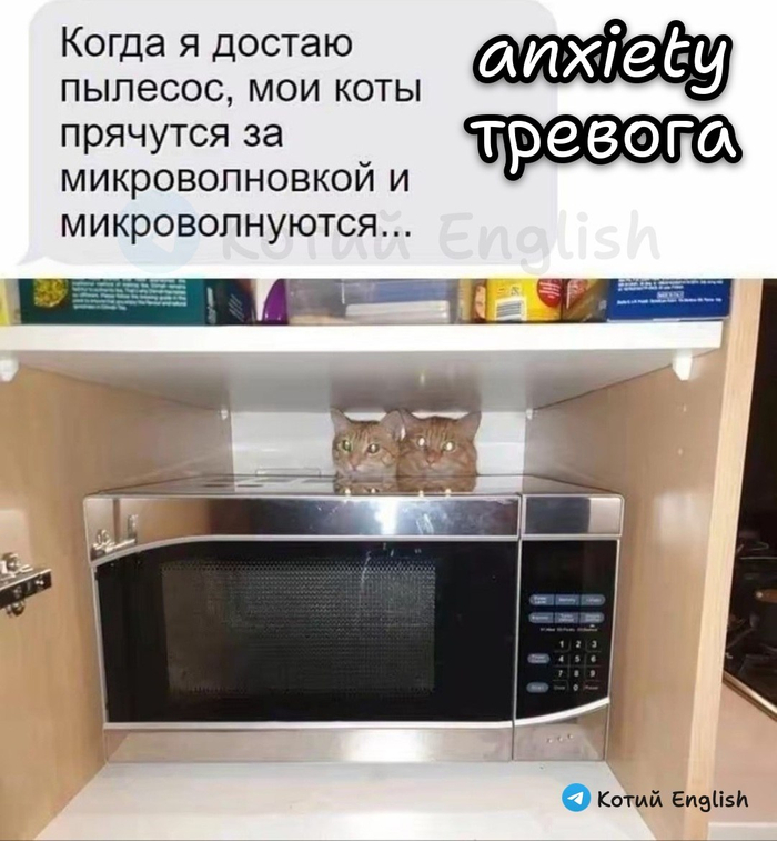 �������� �����-���������