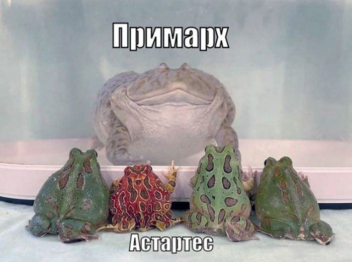 ���-�� ���)