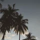 ����� ����� ������ ���� �����������