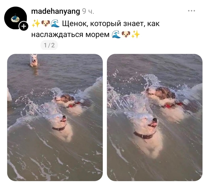 Шшшшикарно