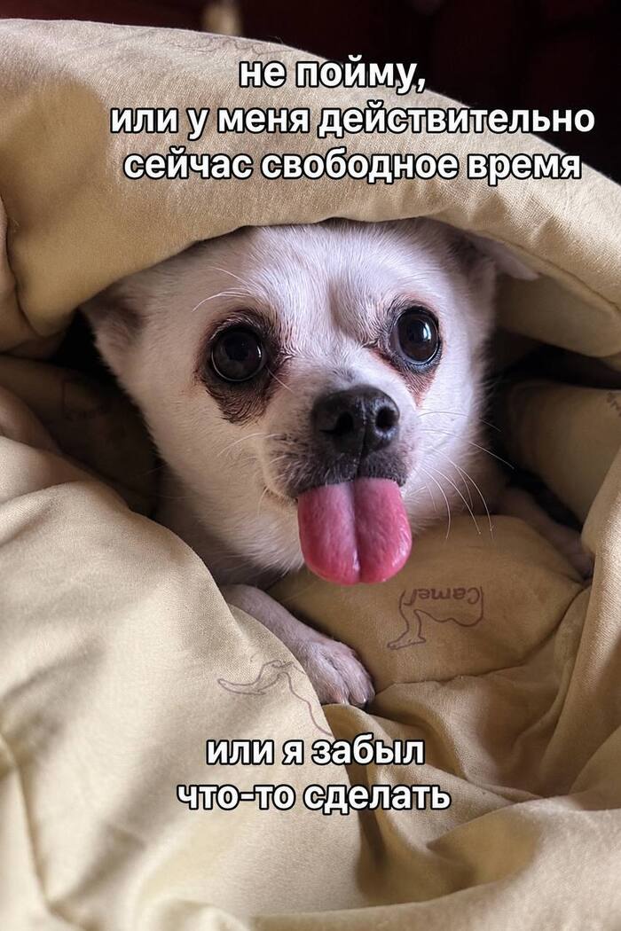 ��� �� ����