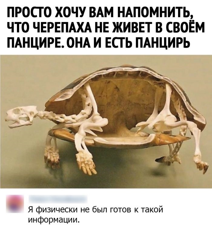 То есть психологически в принципе да?...