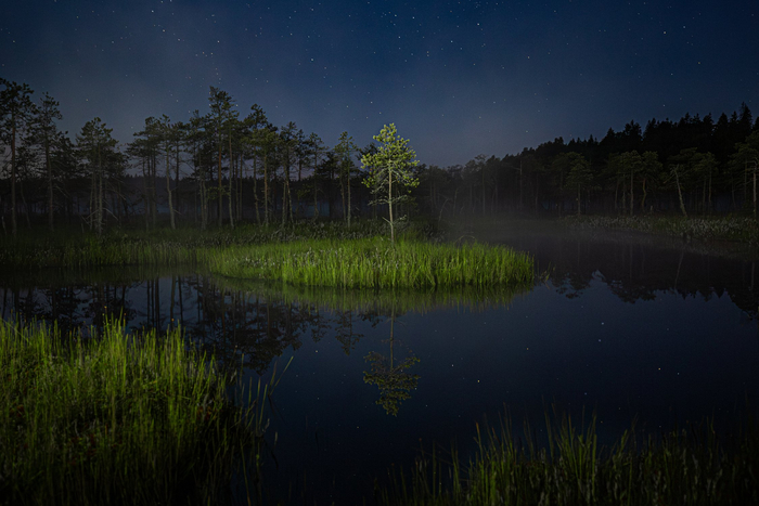 Фото: Илья Сёмин<a href="https://pikabu.ru/story/nochnaya_tishina_14251870?u=https%3A%2F%2Frtraveler.ru%2Fphoto%2F1484335%2F%3Fnew_photos%3D1&t=%D0%BE%D1%82%D1%81%D1%8E%D0%B4%D0%B0&h=609f7c9b2fee784359a611364c6acd6661b50cd5" title="https://rtraveler.ru/photo/1484335/?new_photos=1" target="_blank" rel="nofollow noopener"> отсюда</a>
