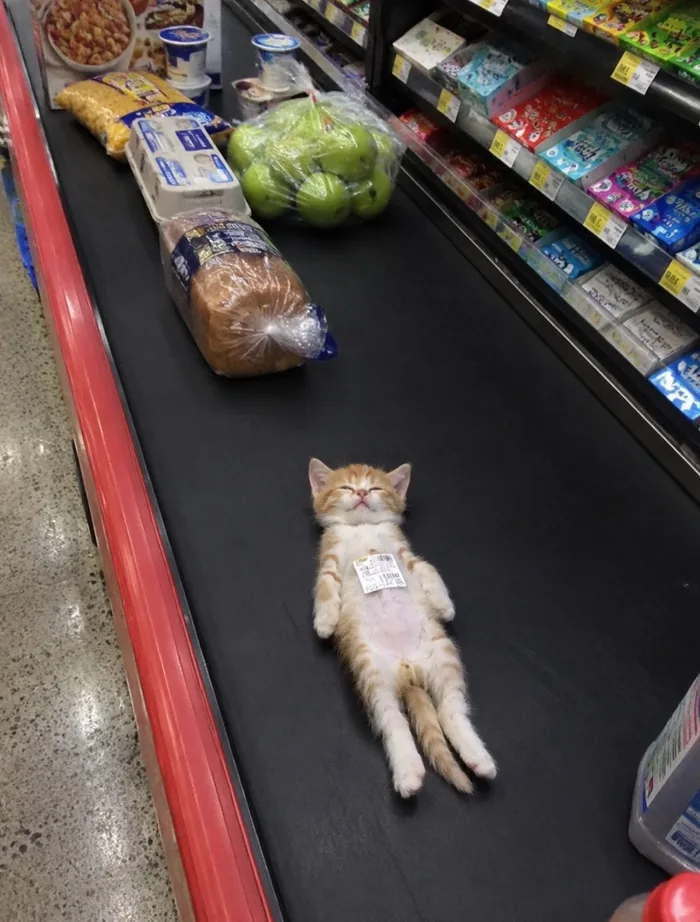 �� �����