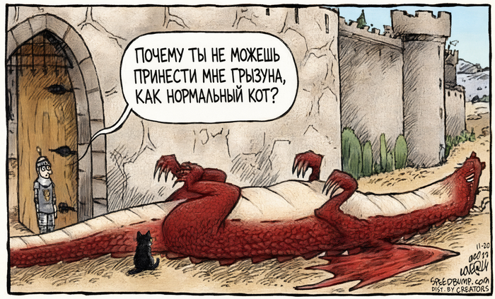 Непутёвый кот