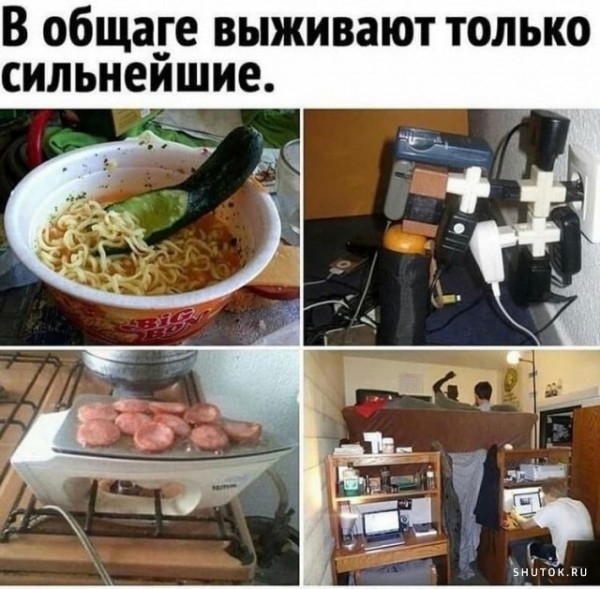 "Будь гибче и не начинай с конфликтов" — худший совет, который дают студентам перед заселением в общагу