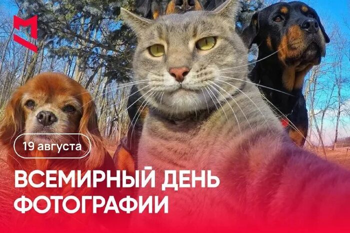 Праздники