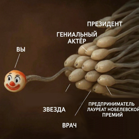 Кто понял жизнь, тот не спешит