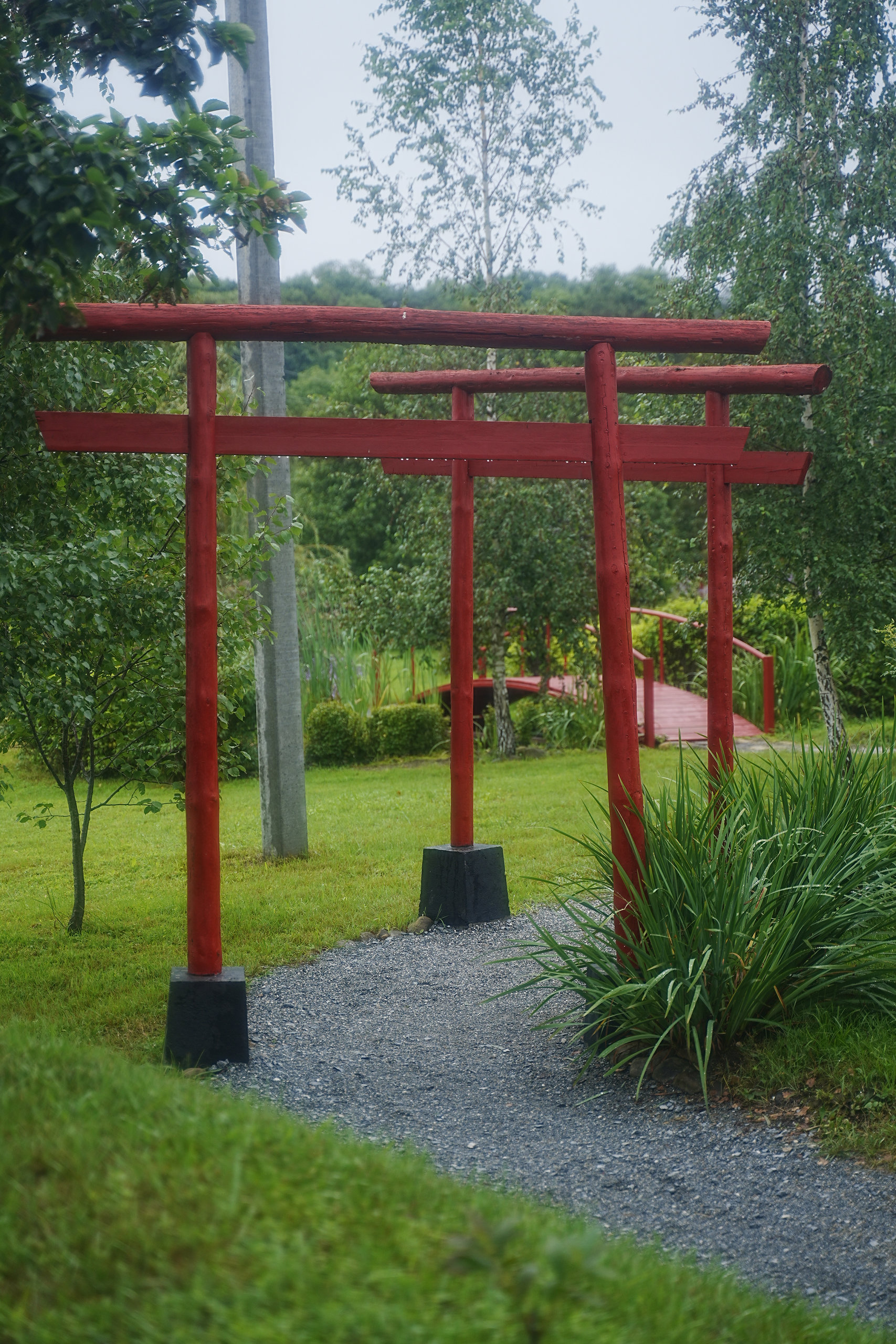 Japanese gardens near Nakhodka, morning after rain - My, Primorsky Krai, Photographer, City Nakhodka, Japanese Garden, Kappa, Spider, Longpost
