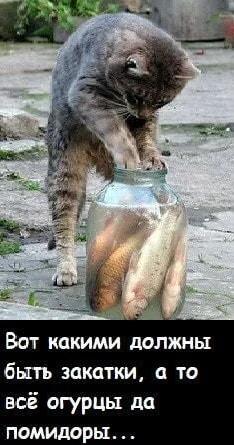 Вот-вот!