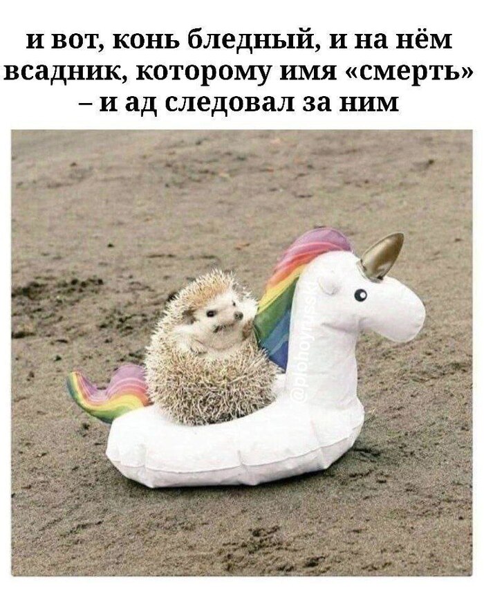 ������� ������������