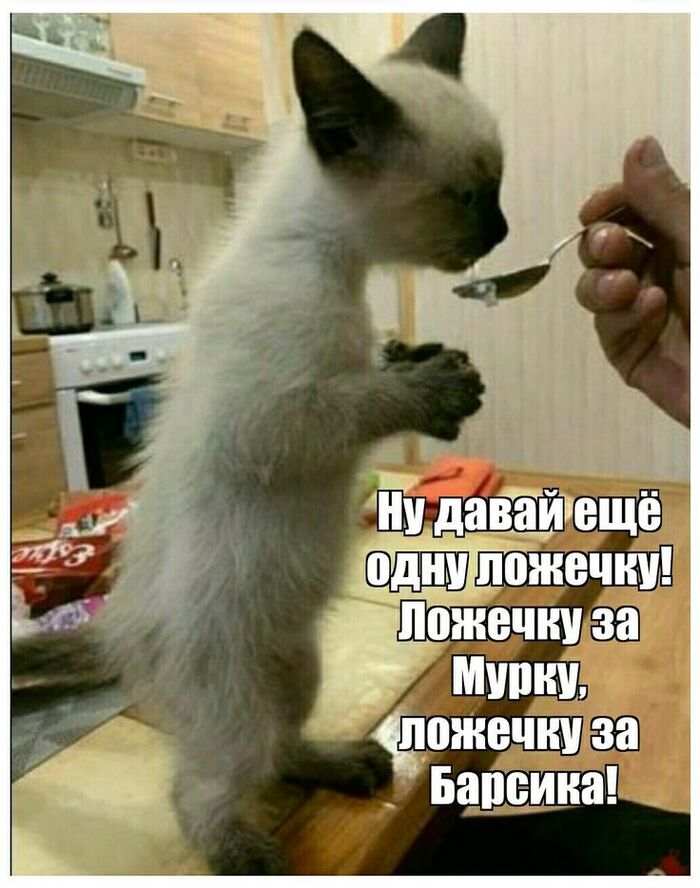 А-а-а, это за маму и за папу?